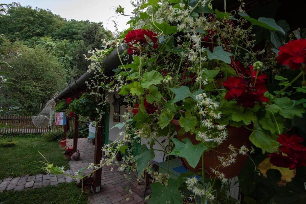 Appartamento Ribarska Kuca - Ilok ,Tradicijska Kuca-Sobe Esterno foto