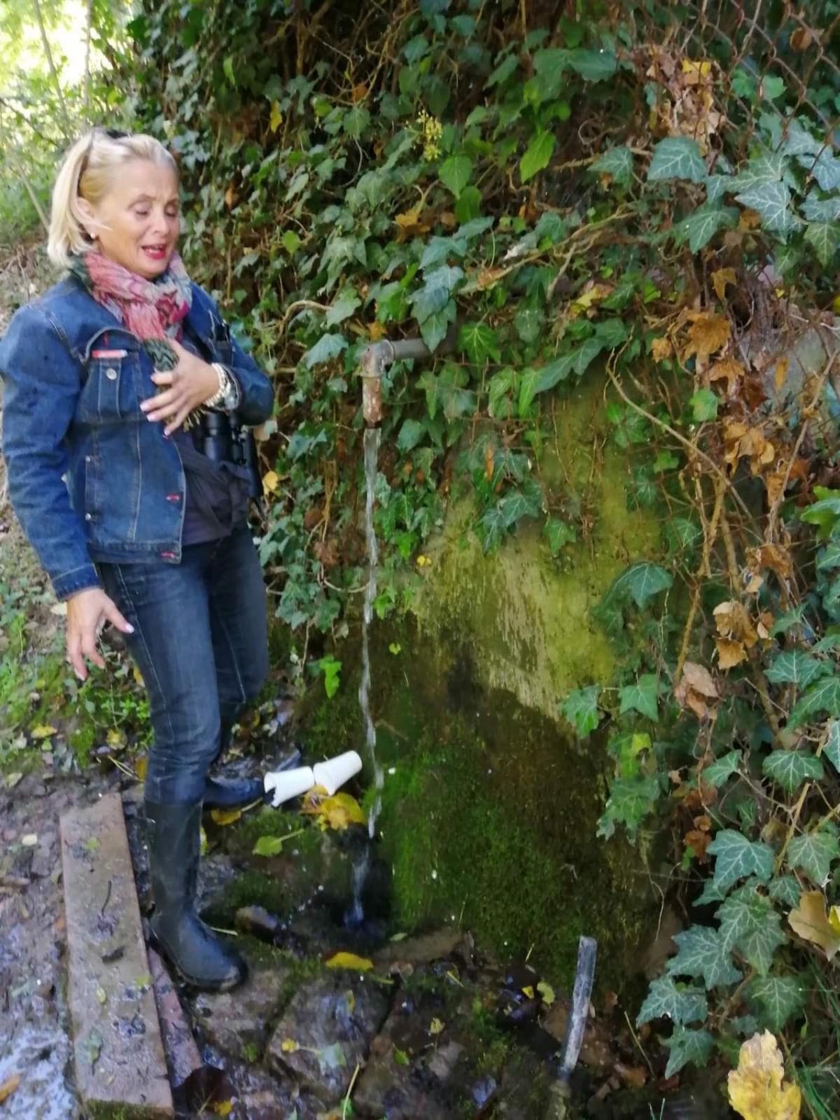 Appartamento Ribarska Kuca - Ilok ,Tradicijska Kuca-Sobe Esterno foto
